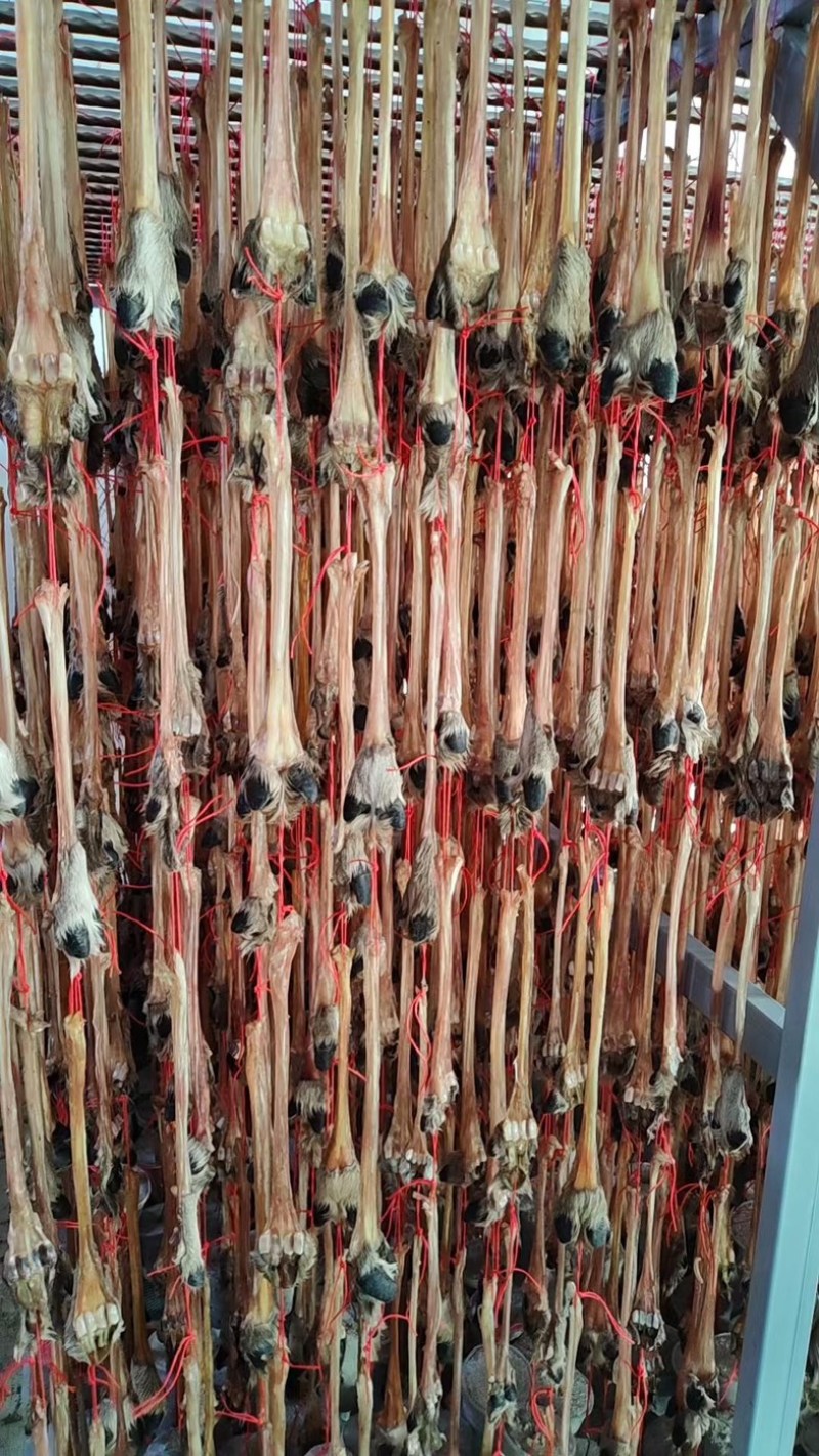 鹿筋粉鹿筋鹿净筋粉批发正品干鹿筋粉现磨瓶装净粉