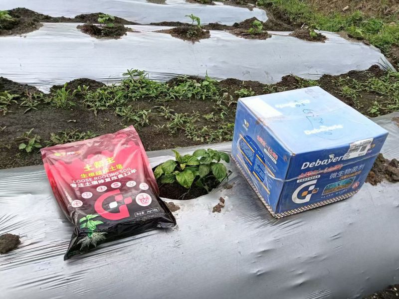 土帮主土传有机水溶肥