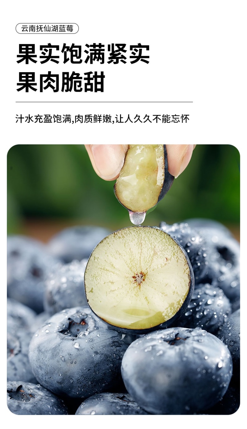 自有基地抚仙湖花香蓝莓顺丰空运一件代发