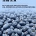 自有基地抚仙湖花香蓝莓顺丰空运一件代发