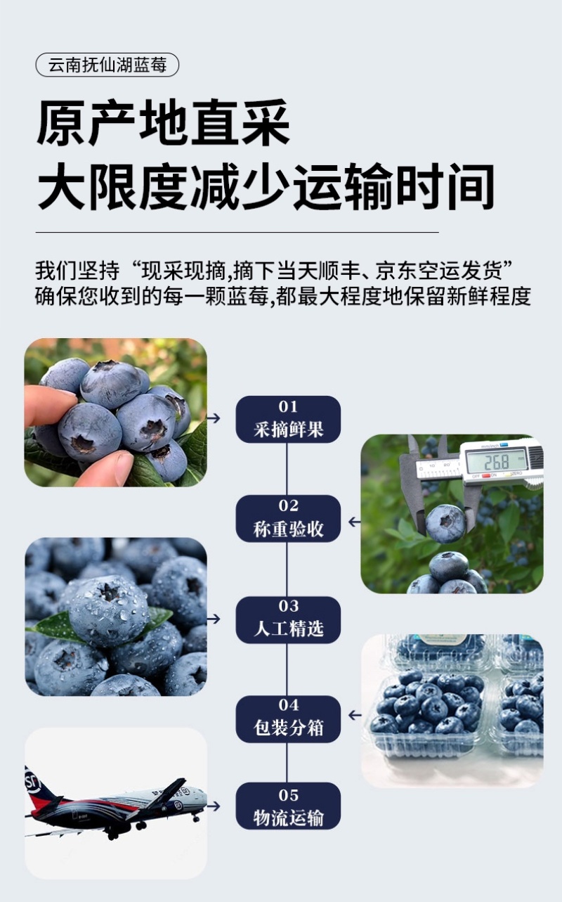 自有基地抚仙湖花香蓝莓顺丰空运一件代发