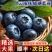 自有基地抚仙湖花香蓝莓顺丰空运一件代发