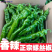 精品螺丝椒皱皮螺丝椒辣味香浓长度适中对接全国客商产地直发