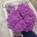 云南甜杆紫花菜大量供货