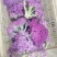 云南甜杆紫花菜大量供货