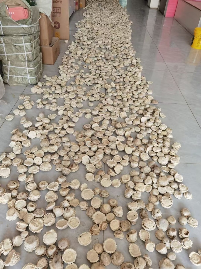 (鹿角帽)鹿乡纯正梅花鹿鹿角帽鹿托盘免费打粉