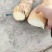 冬笋毛货3-6/6-1.1/1.1斤以上