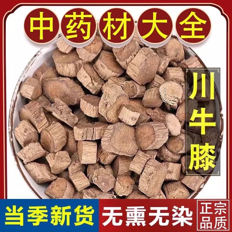 牛膝中药材保真保质量
