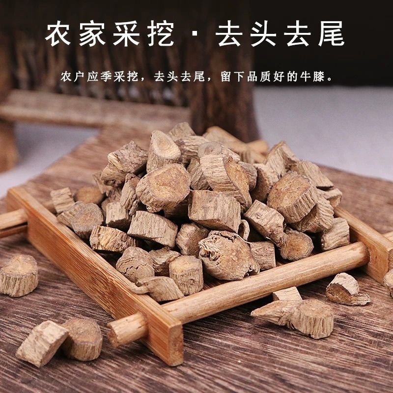 牛膝中药材保真保质量
