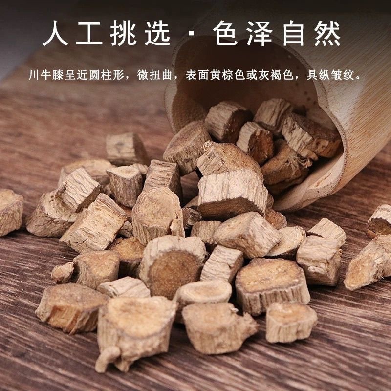 牛膝中药材保真保质量