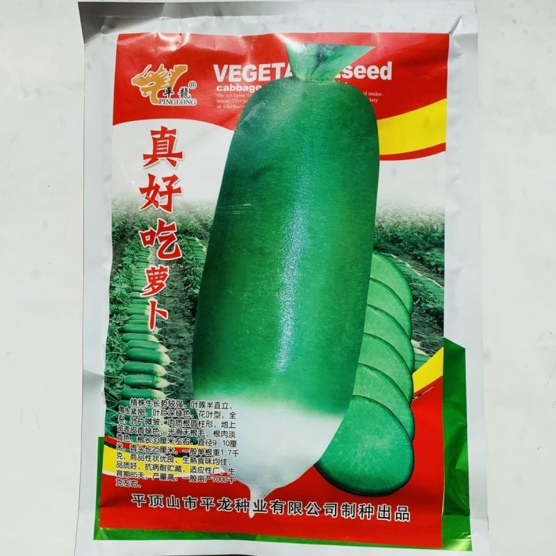 真好吃青皮萝卜种子春秋播种不糠心抗病耐储运高产水果萝卜种