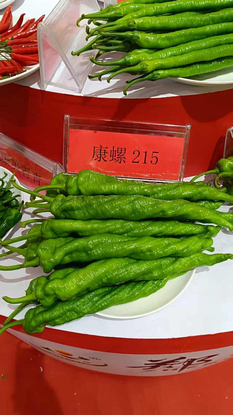 康螺215螺丝椒种子羊角形螺丝椒种子香辣高产坐果力强辣椒