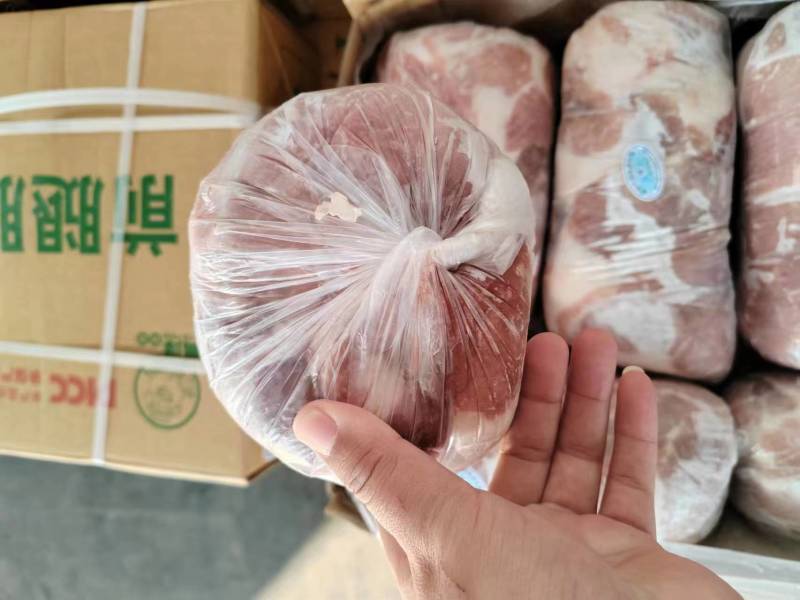 禹泽二号卷