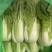 黄白菜
