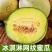 海南网纹蜜瓜，产地一手货源，量大优惠，对接全国市场电商