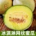 海南网纹蜜瓜，产地一手货源，量大优惠，对接全国市场电商