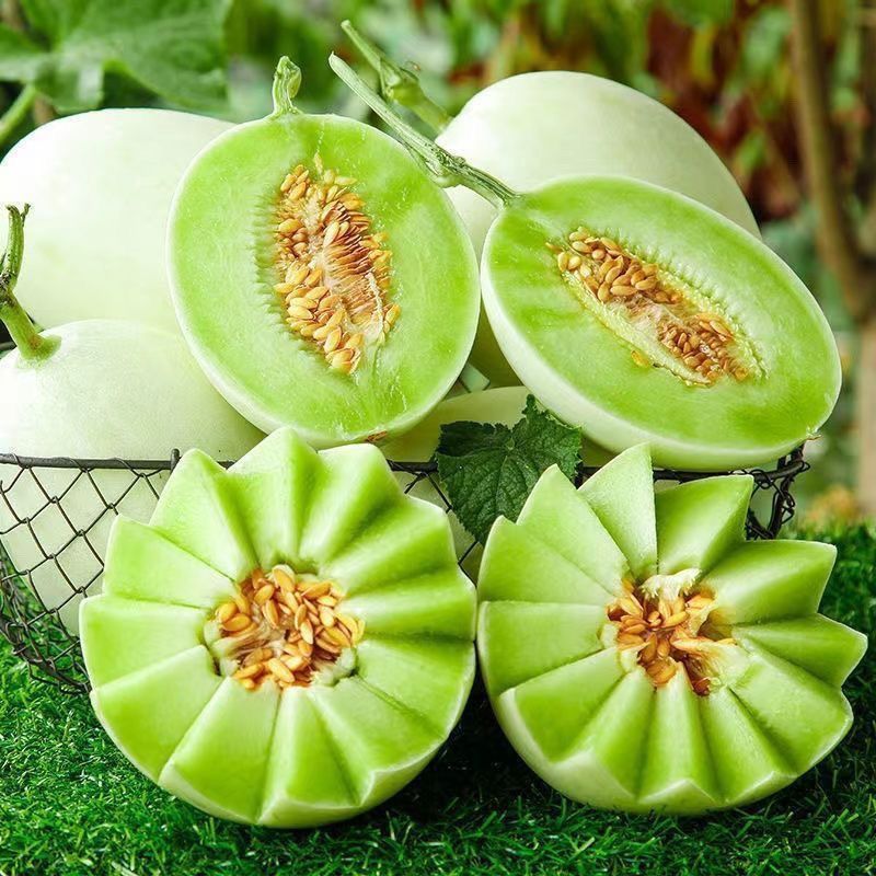 海南玉菇甜瓜，产地一手货源，量大优惠，甜度高，对接全国