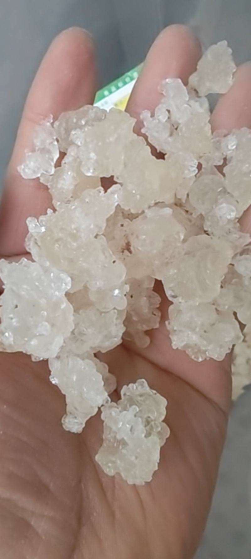 【产地直采】专业供应雪燕规格齐全诚寻长期合作伙伴