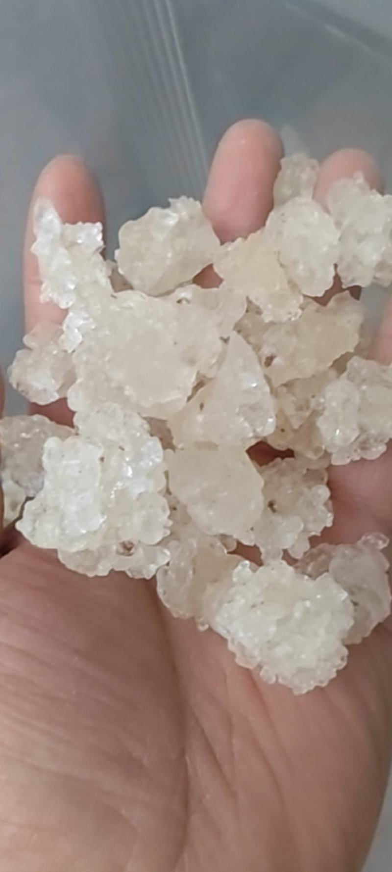 【产地直采】专业供应雪燕规格齐全诚寻长期合作伙伴