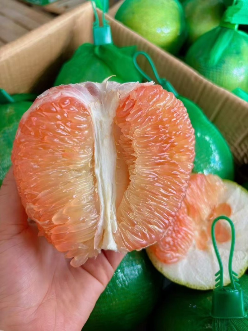 进口青柚