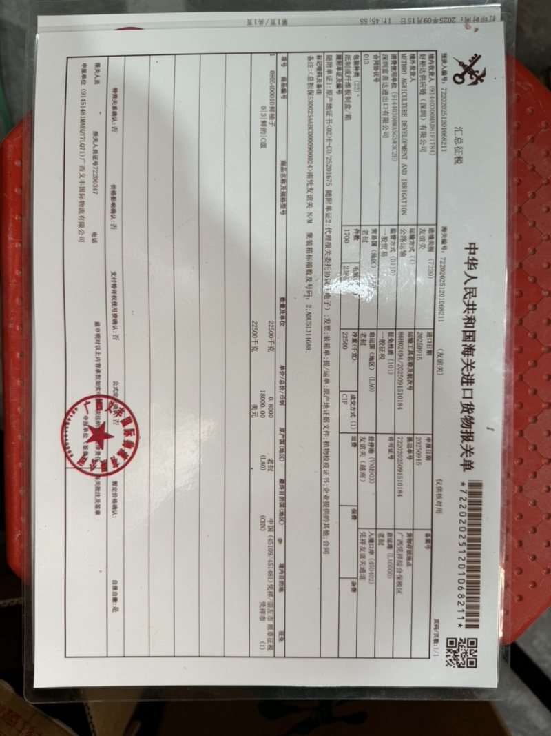进口青柚