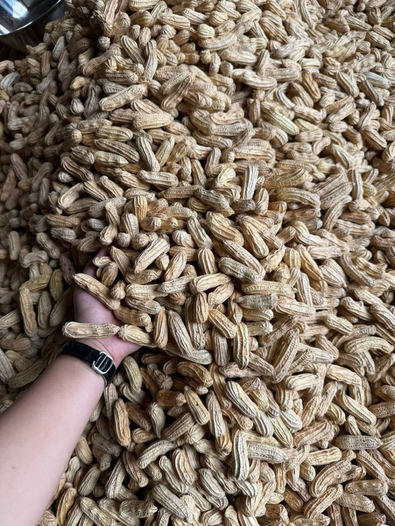 云南黑花生富硒机选带壳干货批发颗粒饱满口感甜糯