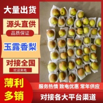 【酥脆无渣】玉露香梨梨中贵族皮薄核小保质保量