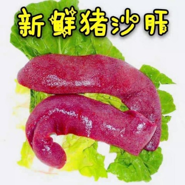 猪沙肝猪姨子货源充足质量保证诚信经营欢迎咨询