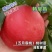 果园直发桃树苗特早熟五月霸桃极早熟水蜜桃包对版成活率高