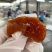 正宗富平柿饼流心软儒香甜品质好质量保证一手货源全国发货