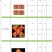 2026马年春节过年烫金门神土地灶神年画贴