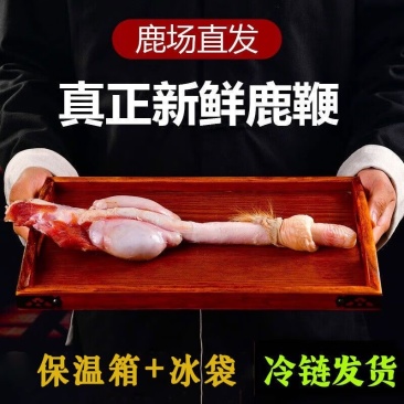 鲜鹿鞭鹿鲜鹿鞭吉林双阳五年以上大鹿鞭吉林鹿乡源头产地鹿