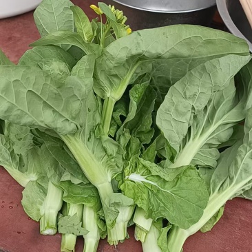 菜心