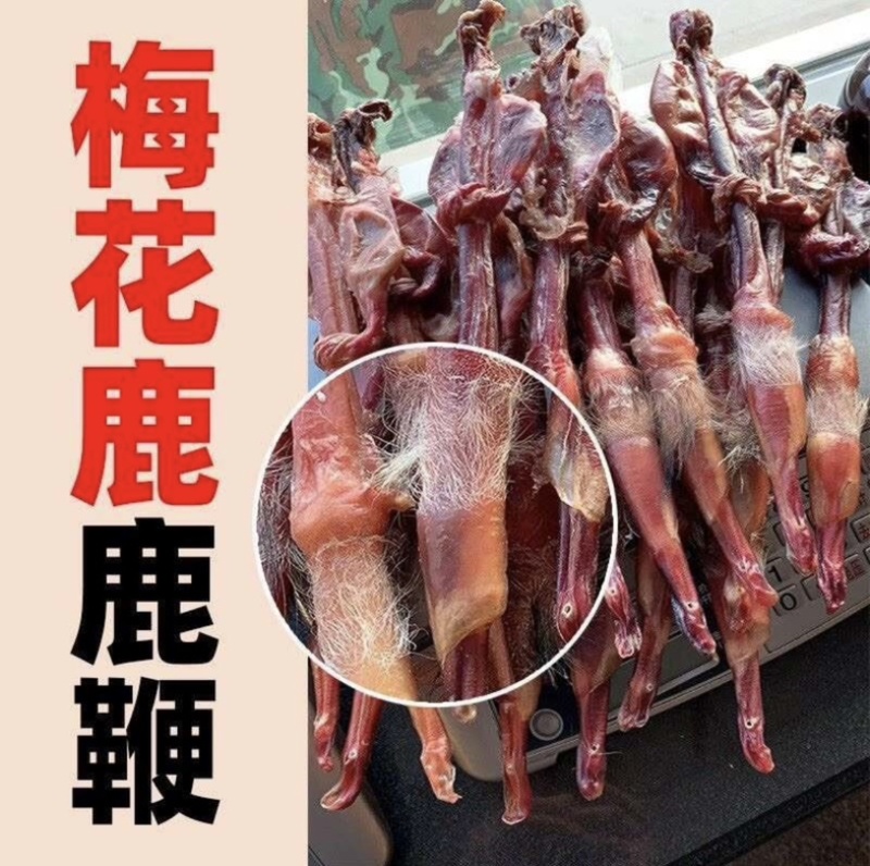 梅花鹿鹿鞭种鹿干鹿鞭批发男用吉林双阳鹿乡