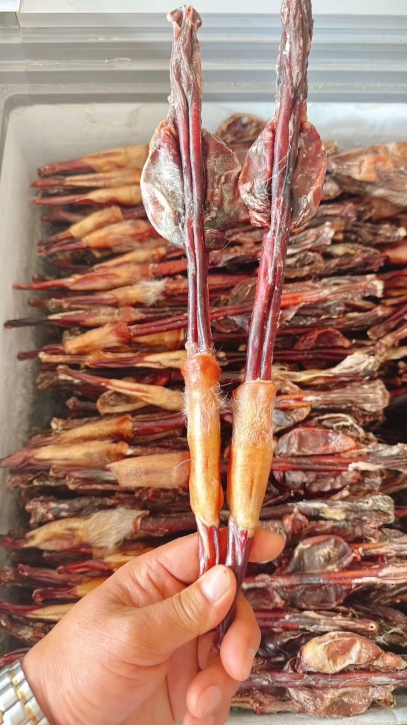 梅花鹿鹿鞭种鹿干鹿鞭批发男用吉林双阳鹿乡