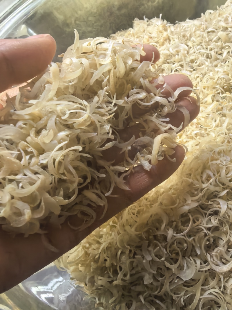人指甲包邮手爪甲人退筋退中药材诚信经营一手货源