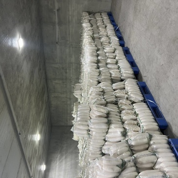精品白萝卜1.5~2斤起高山萝卜出口货货充足欢迎咨询
