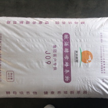酿酒酵母培养物发酵酒糟白酒糟等饲料原料