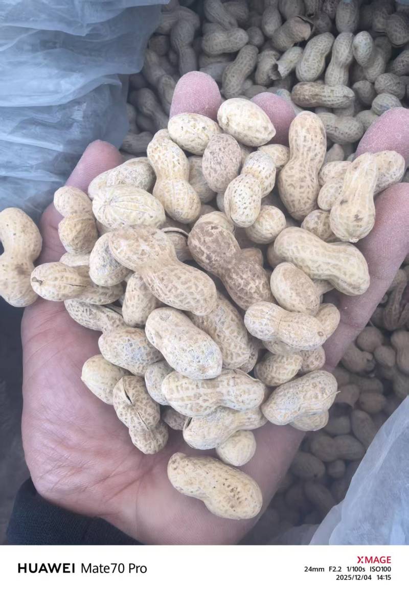 炒花生2026新货小粒珍珠原味蒜香熟花生年货零食量大优惠