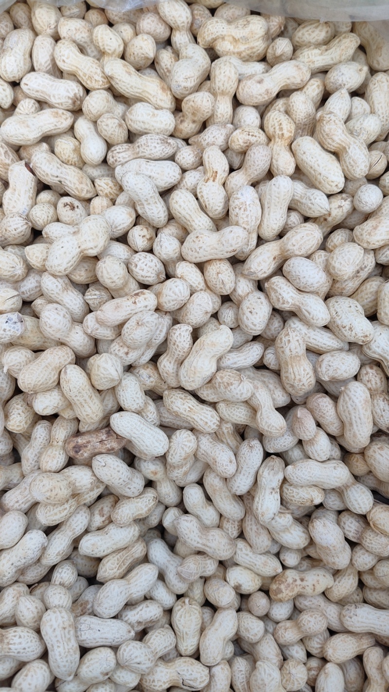 炒花生2026新货小粒珍珠原味蒜香熟花生年货零食量大优惠