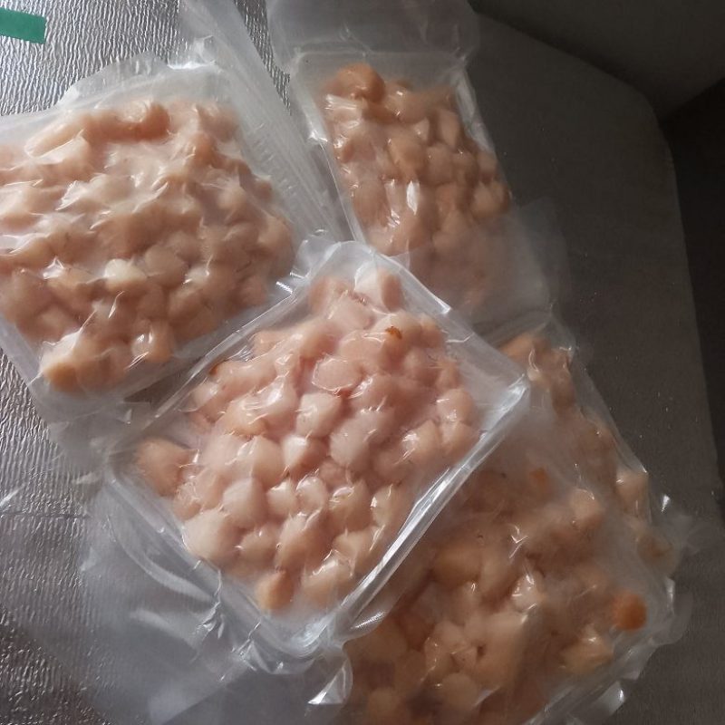 鲜扇贝丁，大小都有批发