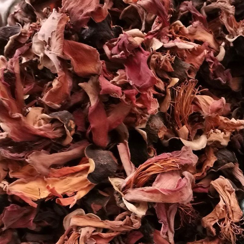 木棉花中药材冷背无硫天然晒干康养斋中药材