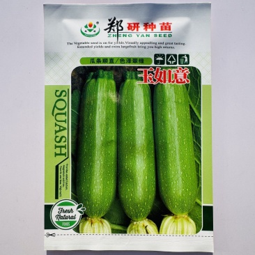 郑研玉如意西葫芦种子原装正品优质早熟长条西葫芦种子