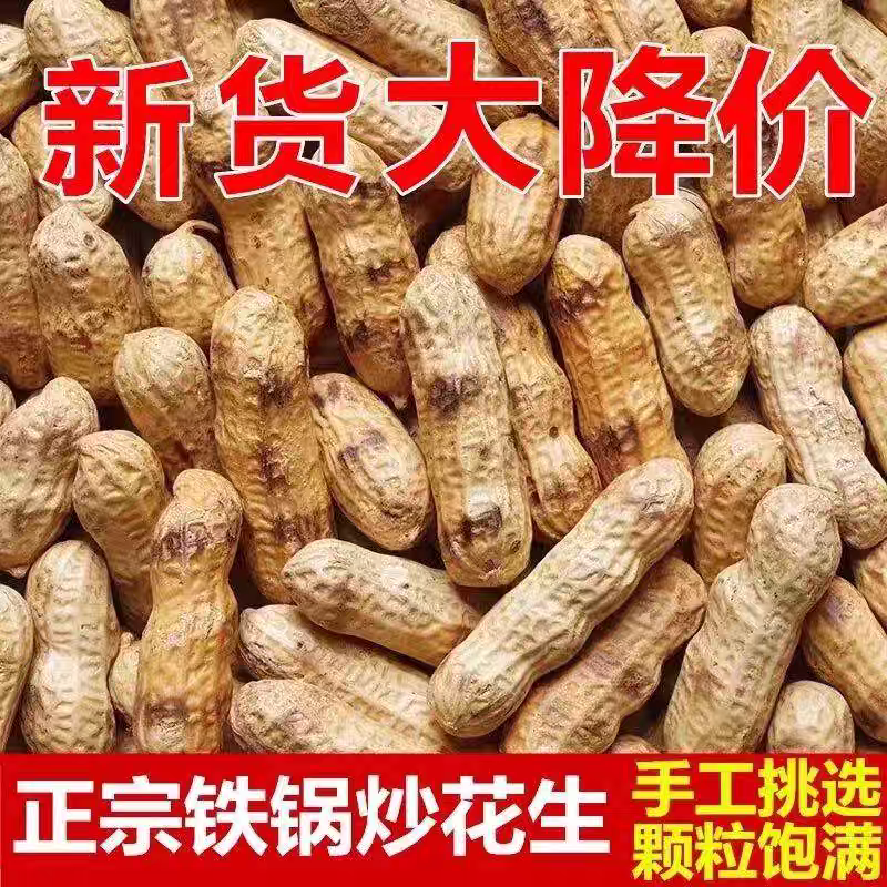 2026年新货现炒现发农家原味炒花生带壳熟花生柴火花生无