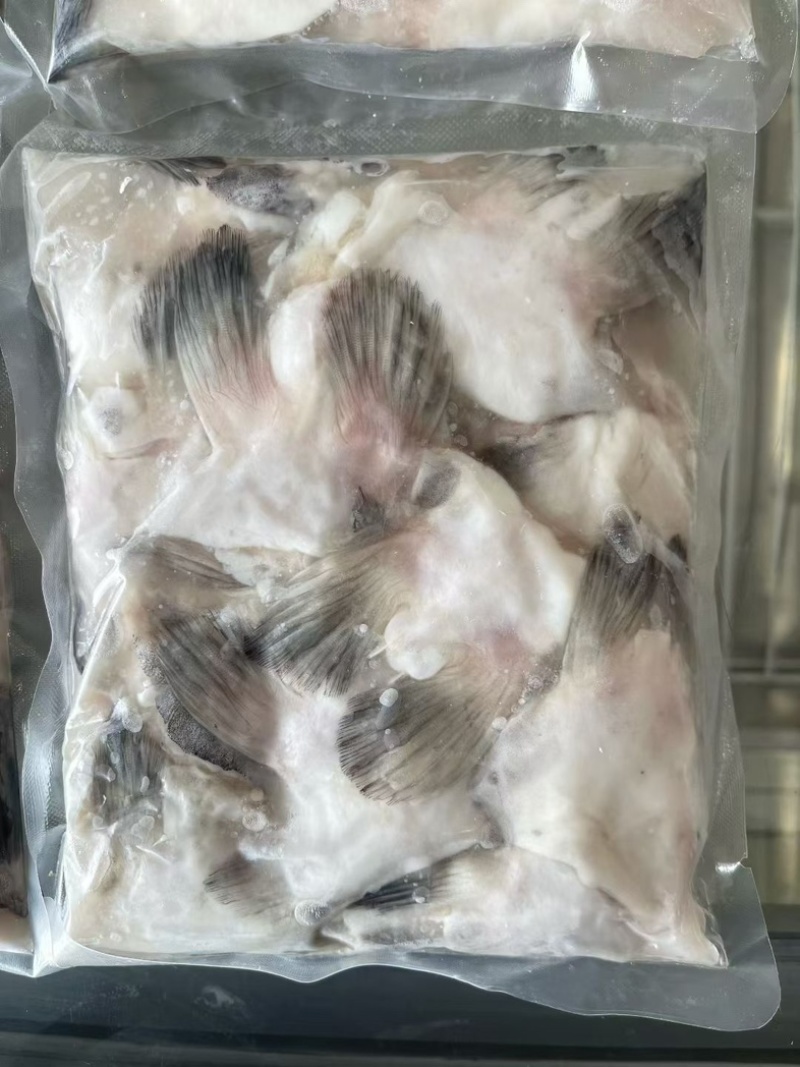清江鱼翅。现货供应。