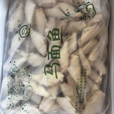 黑尾马面鱼，规格齐全