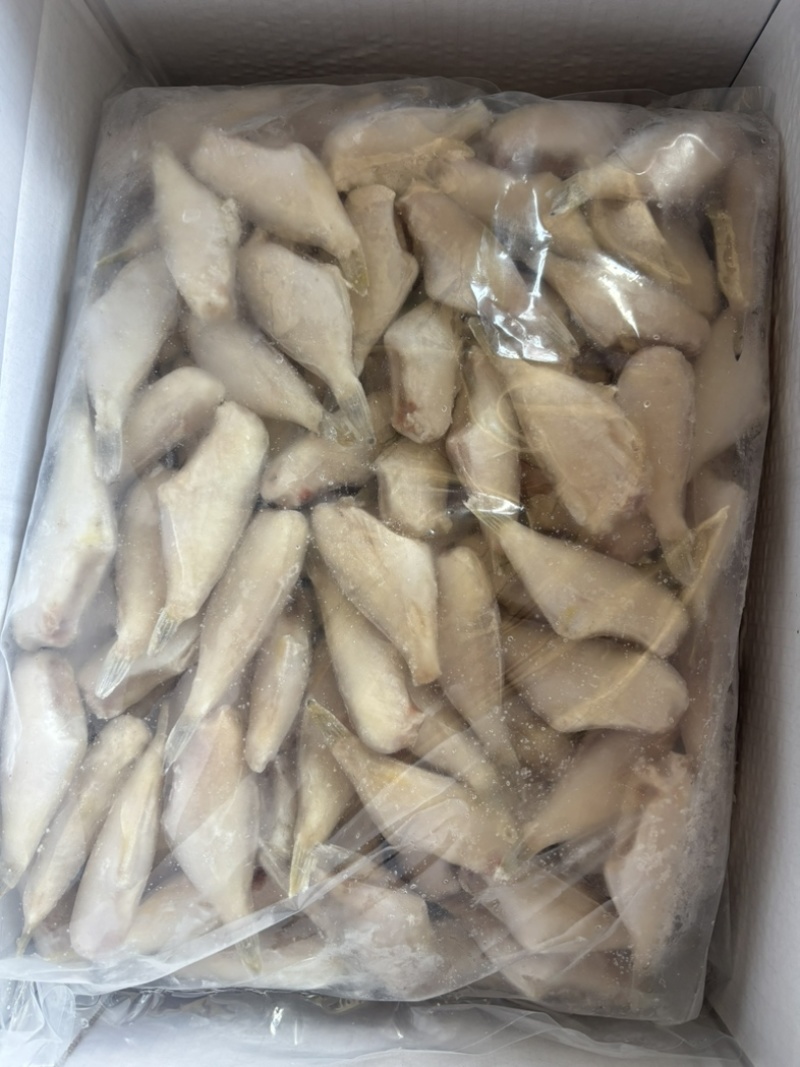 黑尾马面鱼，规格齐全