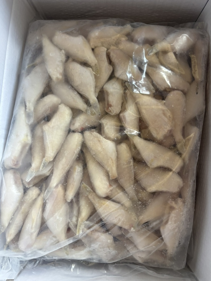 黑尾马面鱼，规格齐全