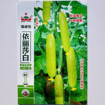强雌奶油水果黄瓜种子黄白亮丽脆嫩黄瓜种子春秋大棚种子