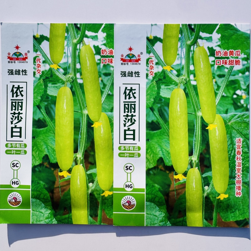 强雌奶油水果黄瓜种子黄白亮丽脆嫩黄瓜种子春秋大棚种子